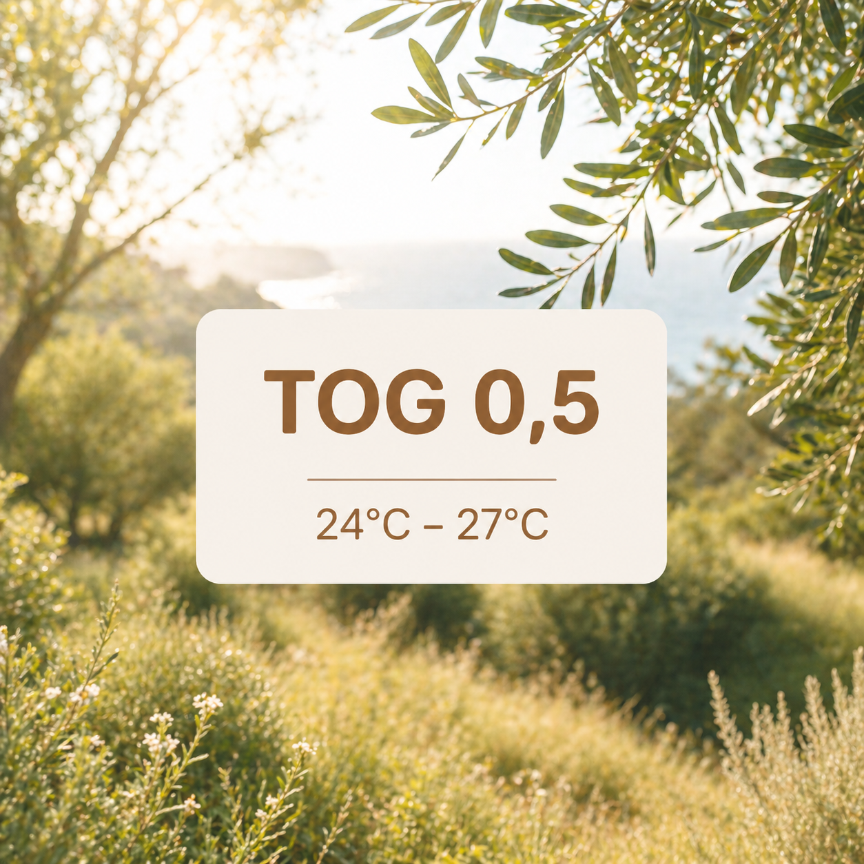 Gigoteuse Tog 0.5