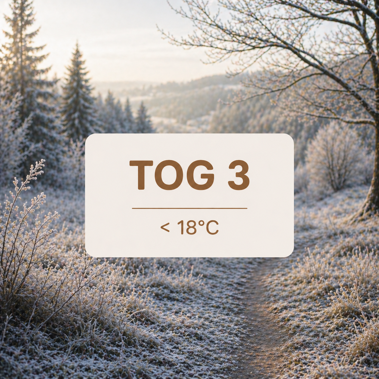 Gigoteuse Tog 3